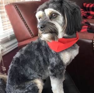 Meet your Posher, Coralee